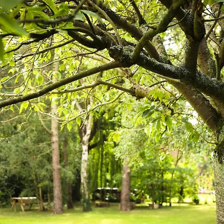 La Belle Monsoise Mons-en-Baroeul