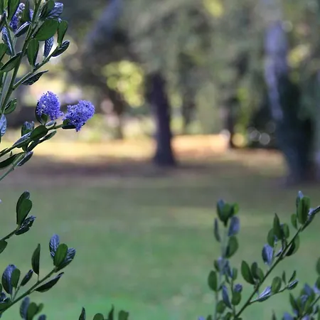 Bed & Breakfast La Belle Monsoise 3*